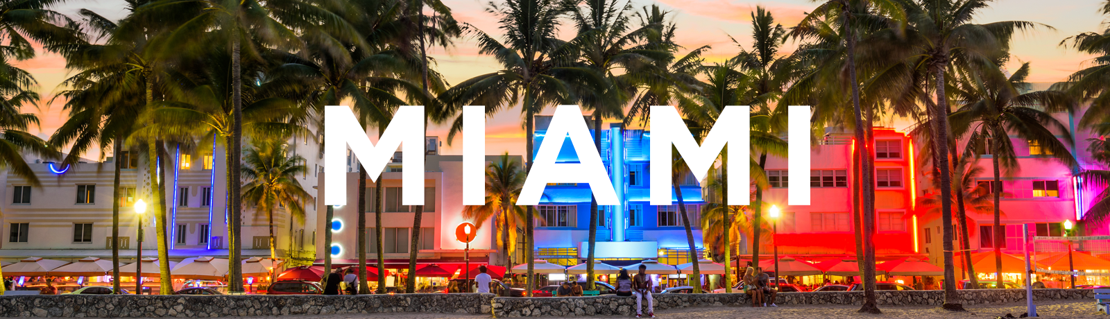 Miami Scenery Banner
